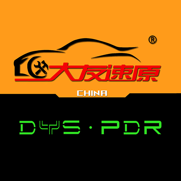 DYS PDR — Shandong Dayou Suyuan Auto Service